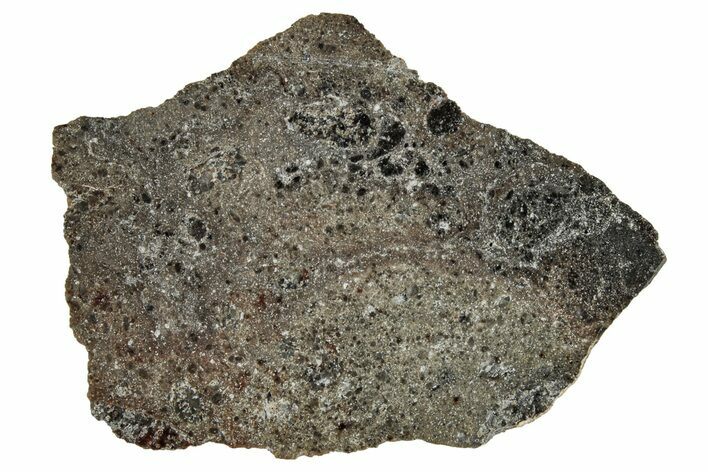 Polished Lunar Meteorite ( g) Slice - Ash Shaqqah #356002